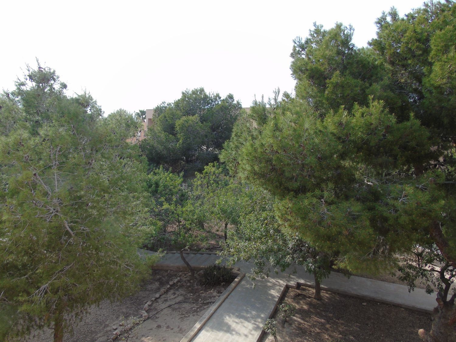 Dúplex en Calle Tresmall, 1, Playa Levante, Playa Levante - Foto 20