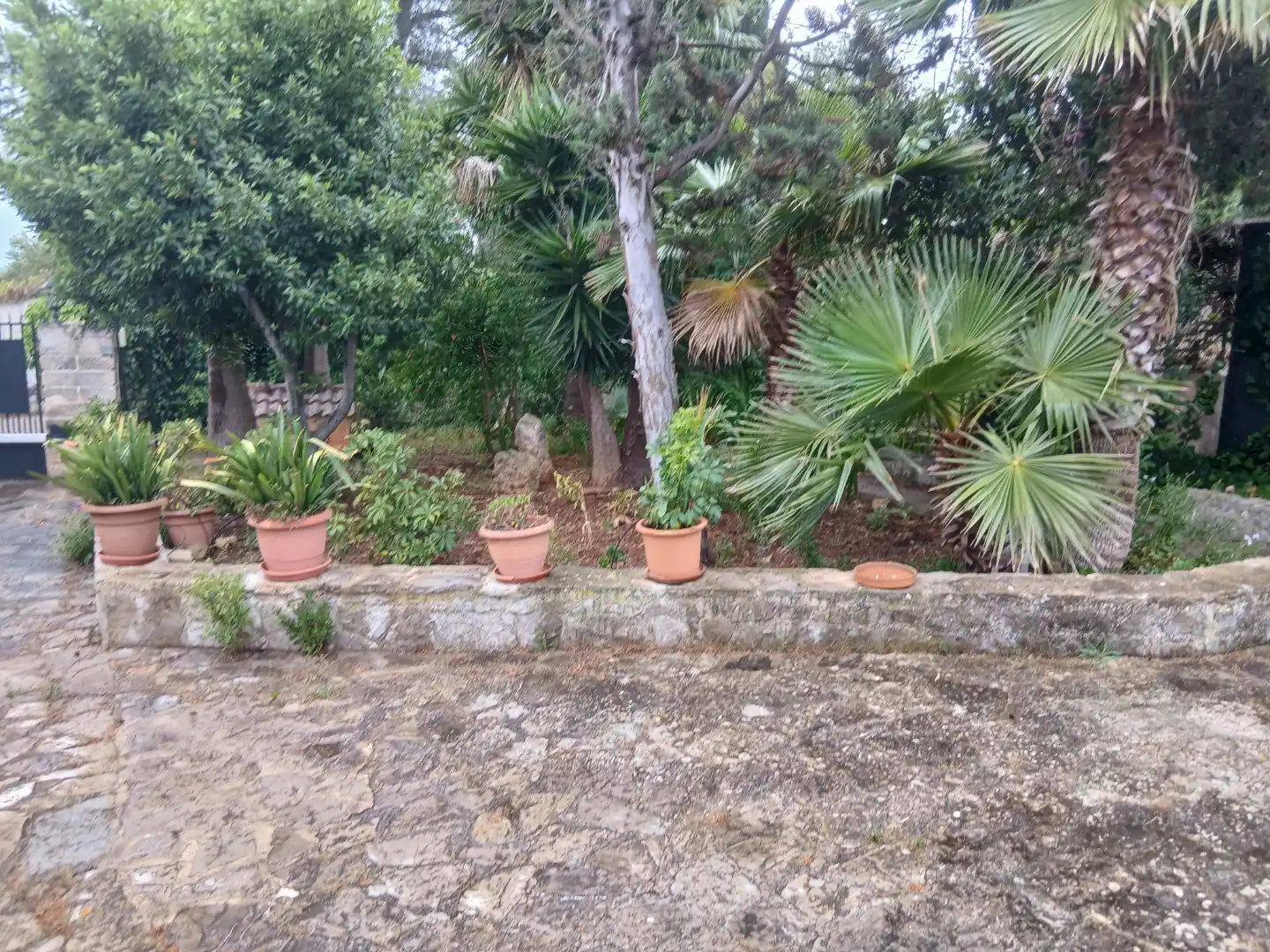 Finca rústica en  Carrer Marjades 92 - Foto 5