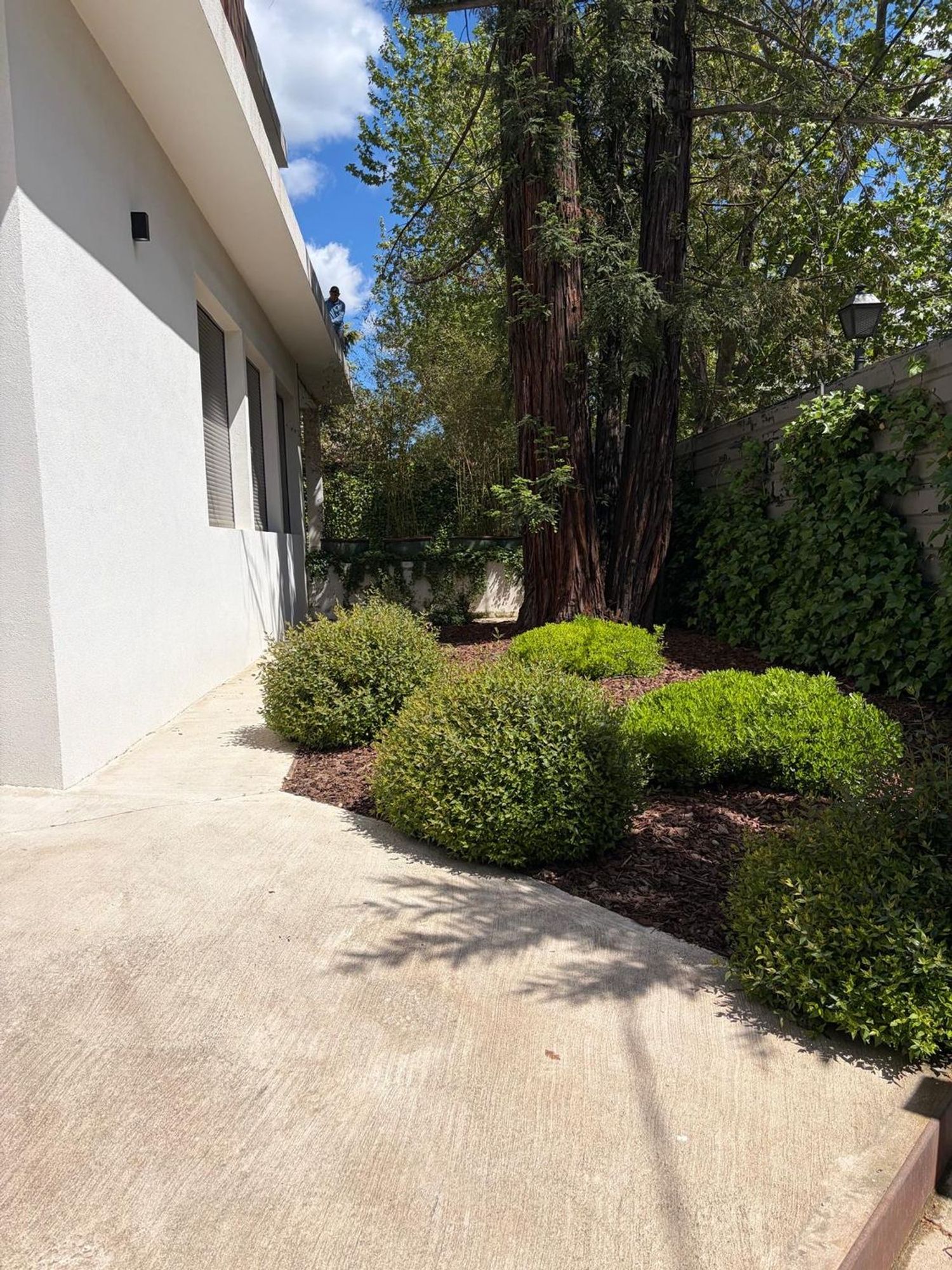 Casa independiente - Foto 2