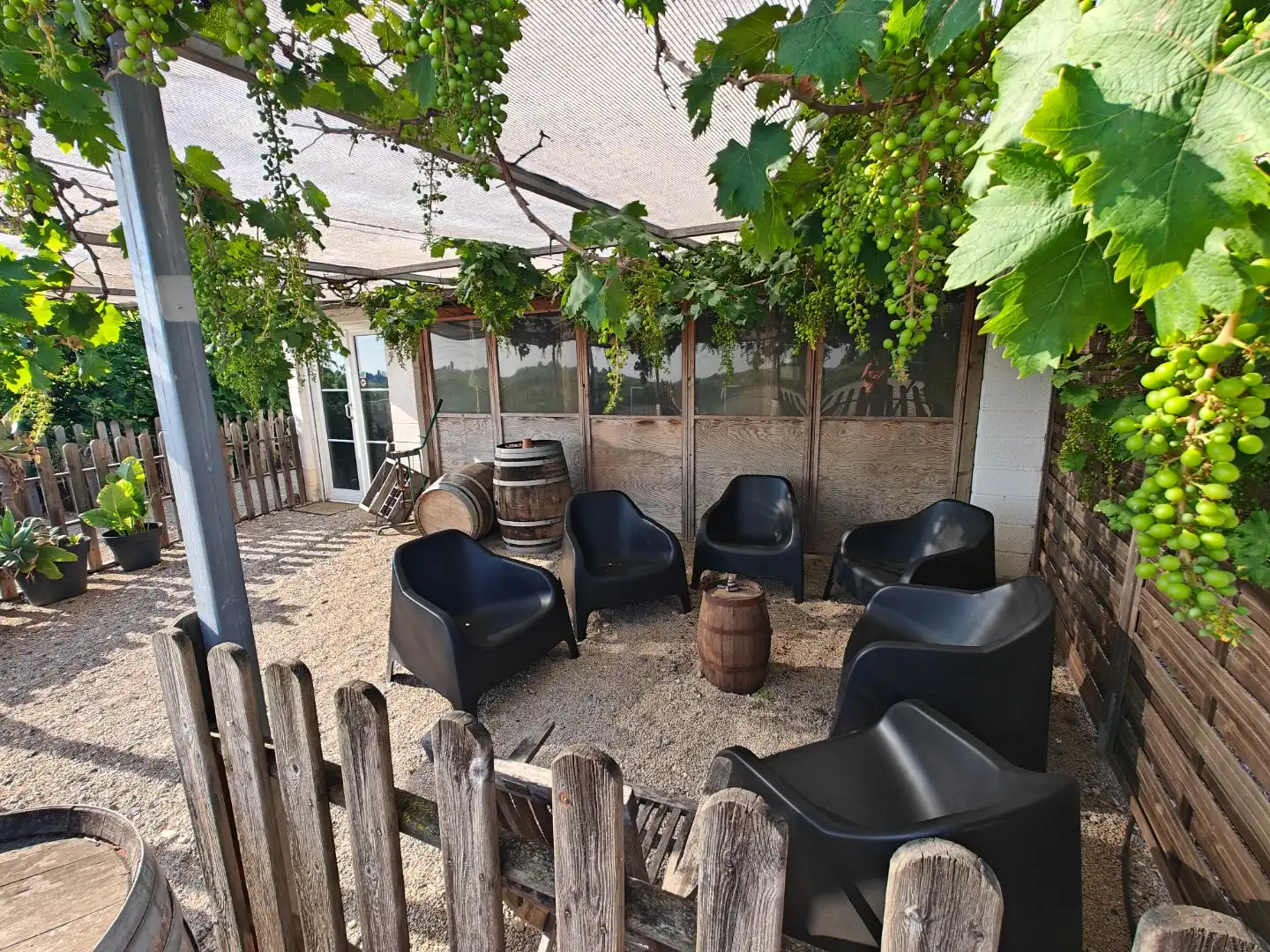 Finca rústica en Algemesí - Foto 17