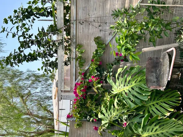 Casa o chalet independiente en Calle Braulio Lorenzo, 49, Las Rosas, Las Rosas - Foto 1