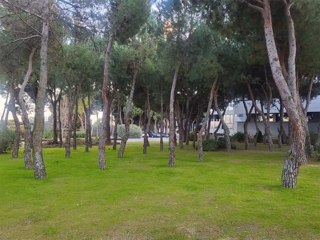 Piso en  Carretera de Boadilla 124 - Foto 28