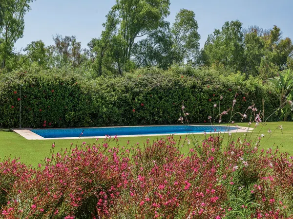 Casa o chalet independiente en Avenida de los Andaluces, 25, Casasola - Foto 31