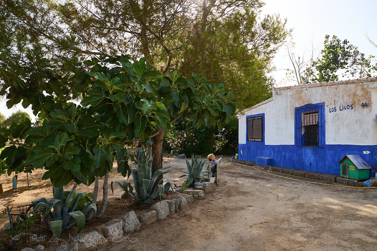 Finca rústica en Camino de la Mata s/n - Foto 5