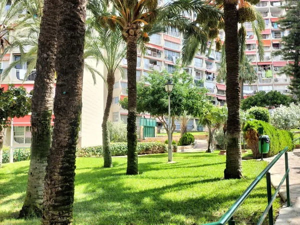 Piso en Avenida de Montecarlo, 26, Zona Sierra Helada - Foto 8