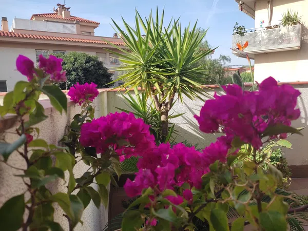 Estudio en Calle Mossèn Cinto Verdaguer, 1, Centre, Centre - Foto 10