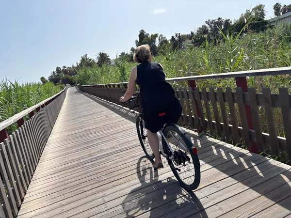 Piso en calle Alozaina, 1 - Foto 34