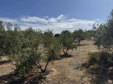 Finca rústica en  Prolongación Cañada del Tovar 34 - Foto 6