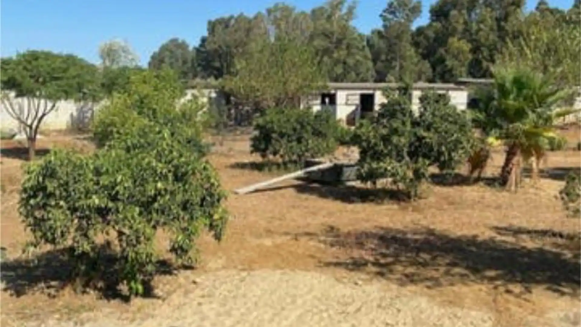 Casa adosada en Urbanizacion el regidor - Foto 6