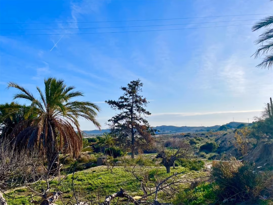 Finca rústica en  Camino Viejo de Saladas 10 - Foto 10