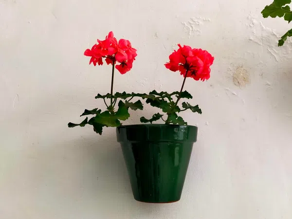 Casa independiente en calle Montaño, 10 - Foto 23