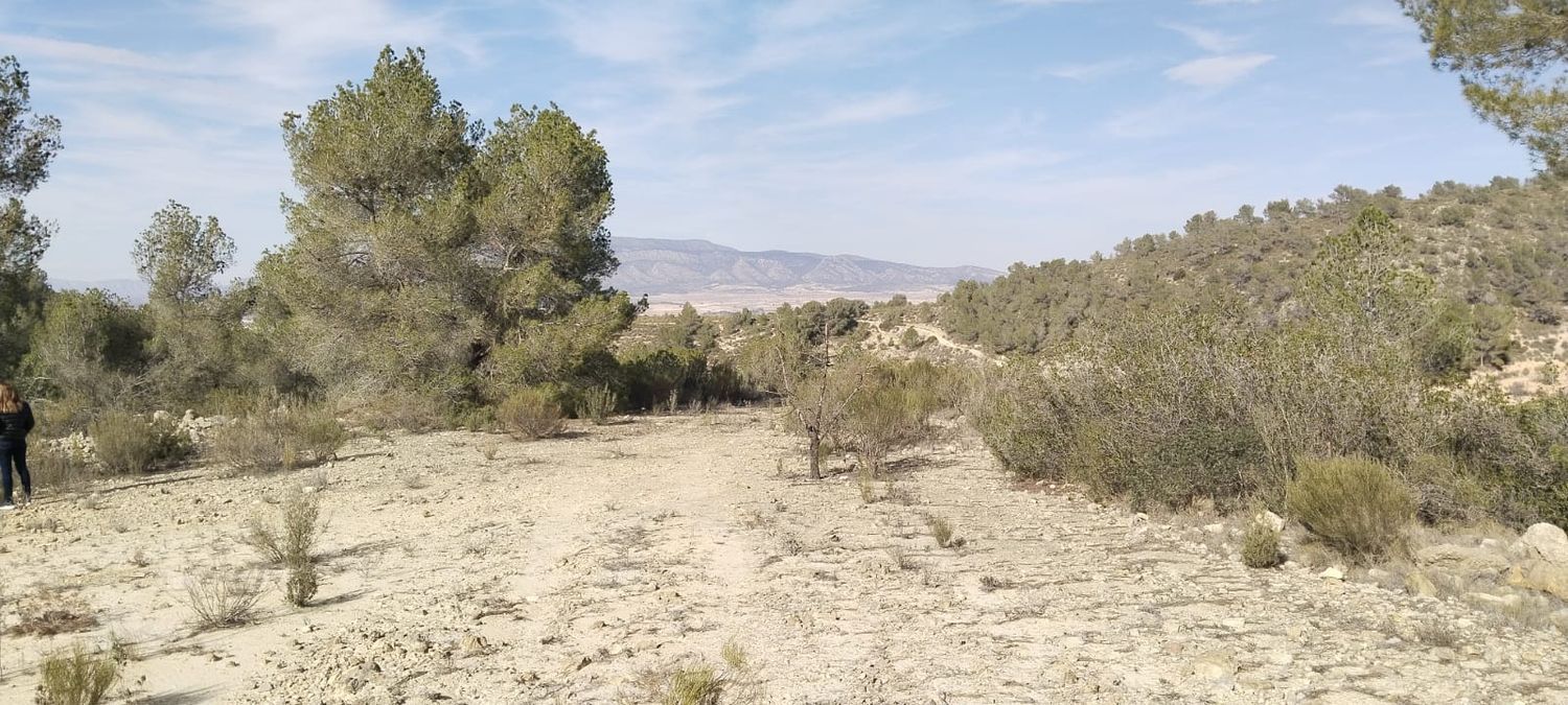 Finca rústica en La Zarza s/n - Foto 5
