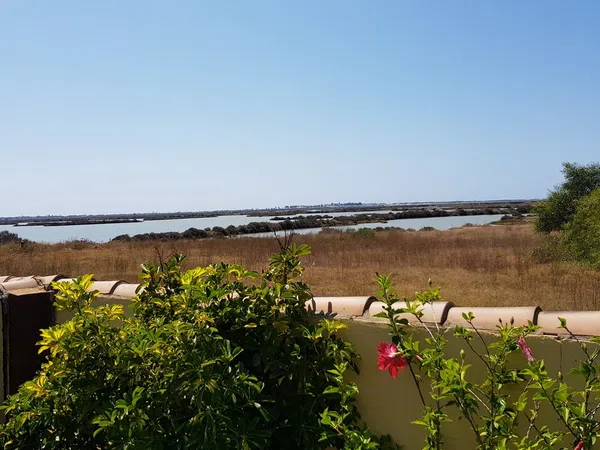 Casa independiente en calle Codorniz, 510 - Foto 11