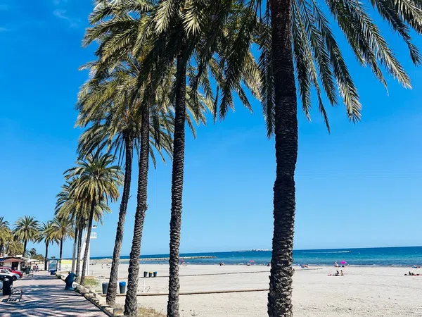 Piso en Avenida Catalanet, 35, Calas de Santa Pola este, Calas de Santa Pola este - Foto 18