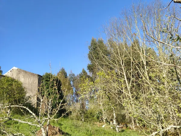 Casa rural en Senin, 6 - Foto 14