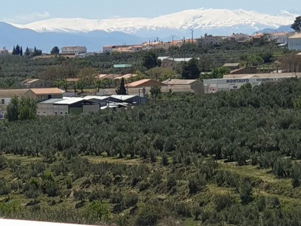 Casa rural en Barrio el Barón s/n - Foto 30
