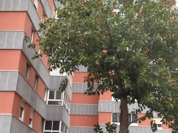 Piso en Paseo la Cornisa, 6, Escaleritas - La Feria - Foto 19