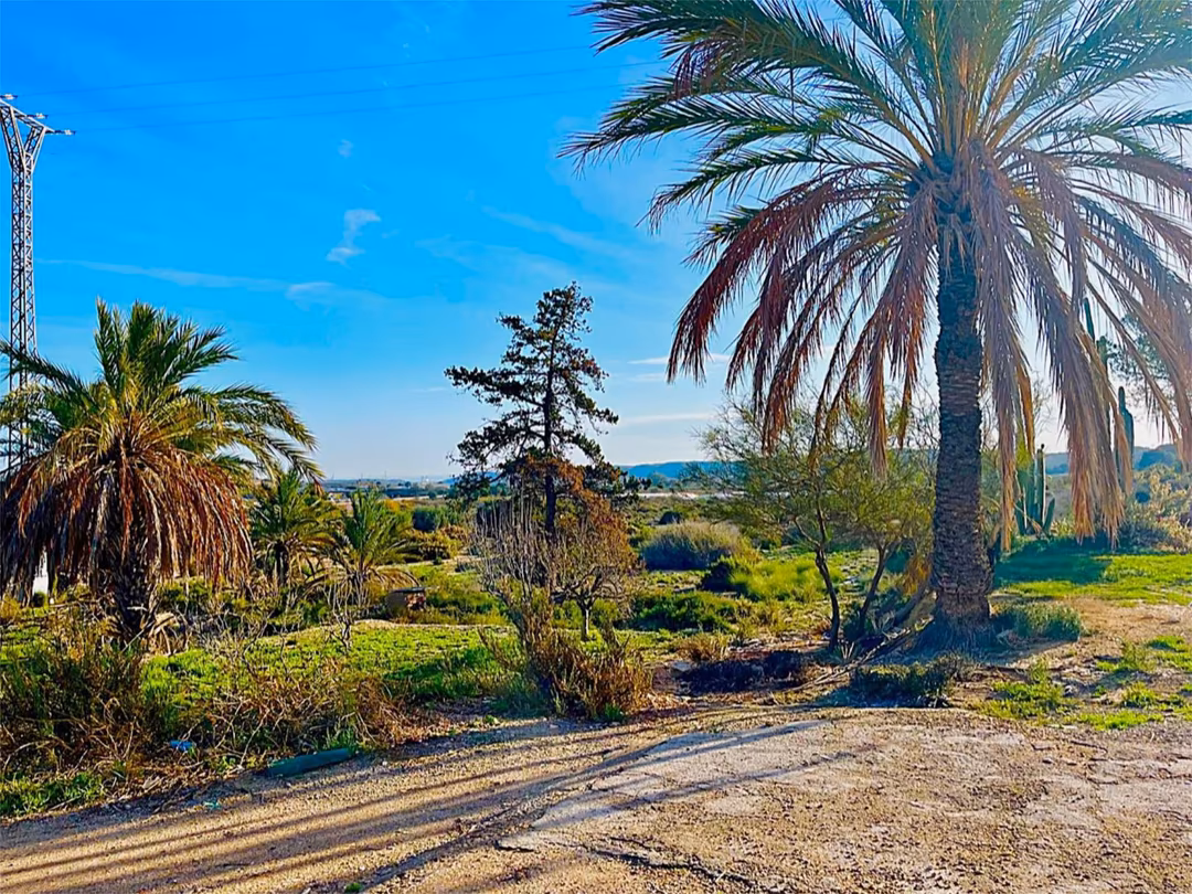 Finca rústica en  Camino Viejo de Saladas 10 - Foto 11