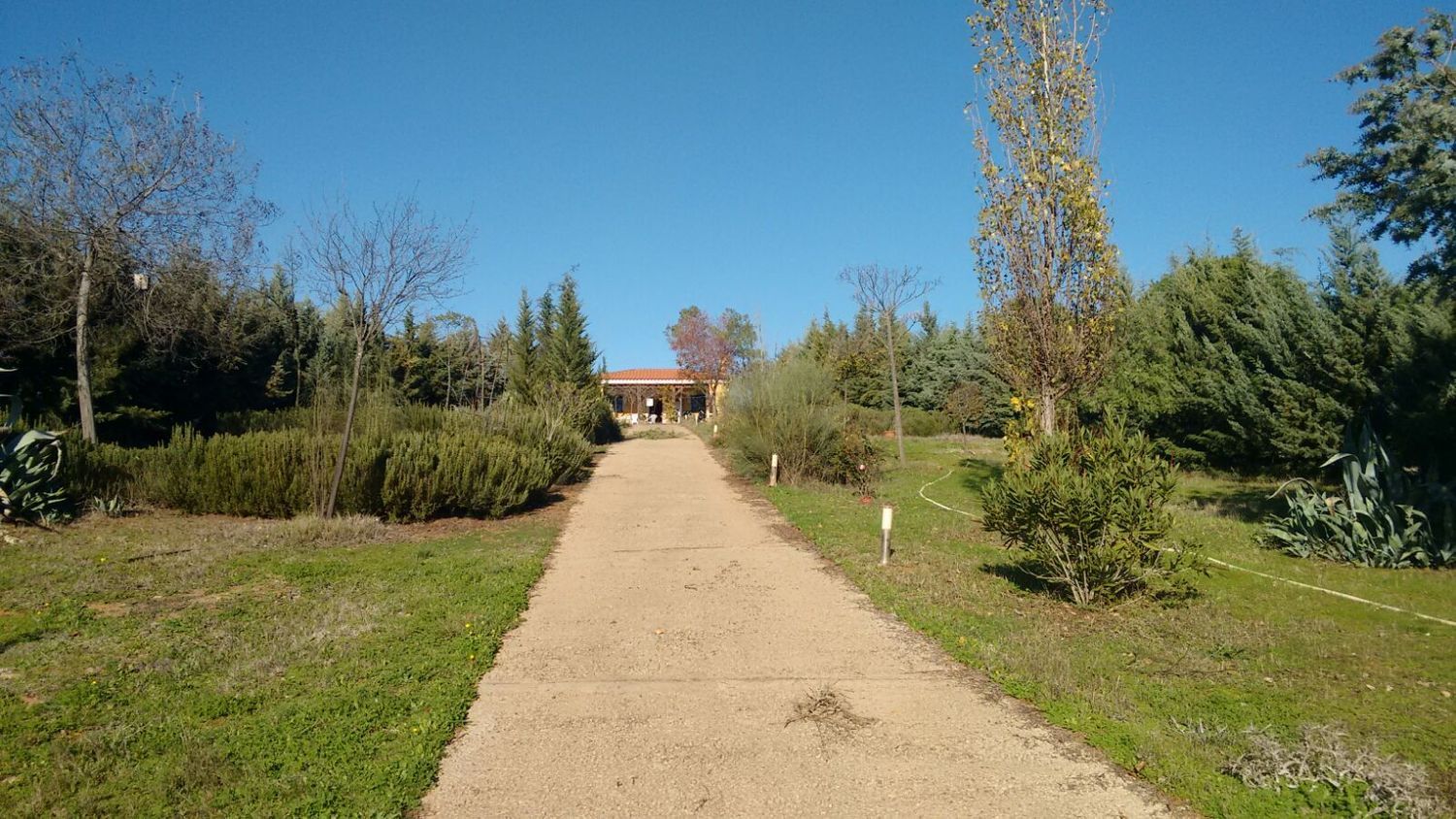 Finca rústica en Polígono Dehesa nueva s/n - Foto 9