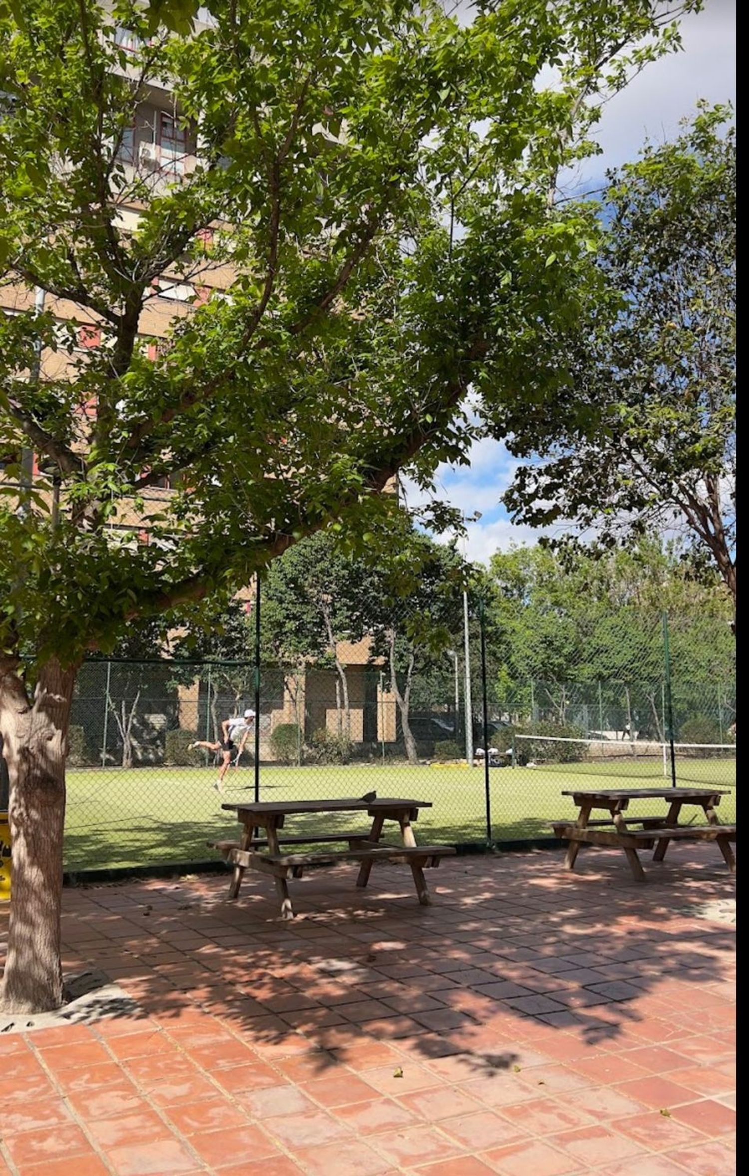 Piso en avenida de l'Alcalde Gisbert Rico, 29 - Foto 10