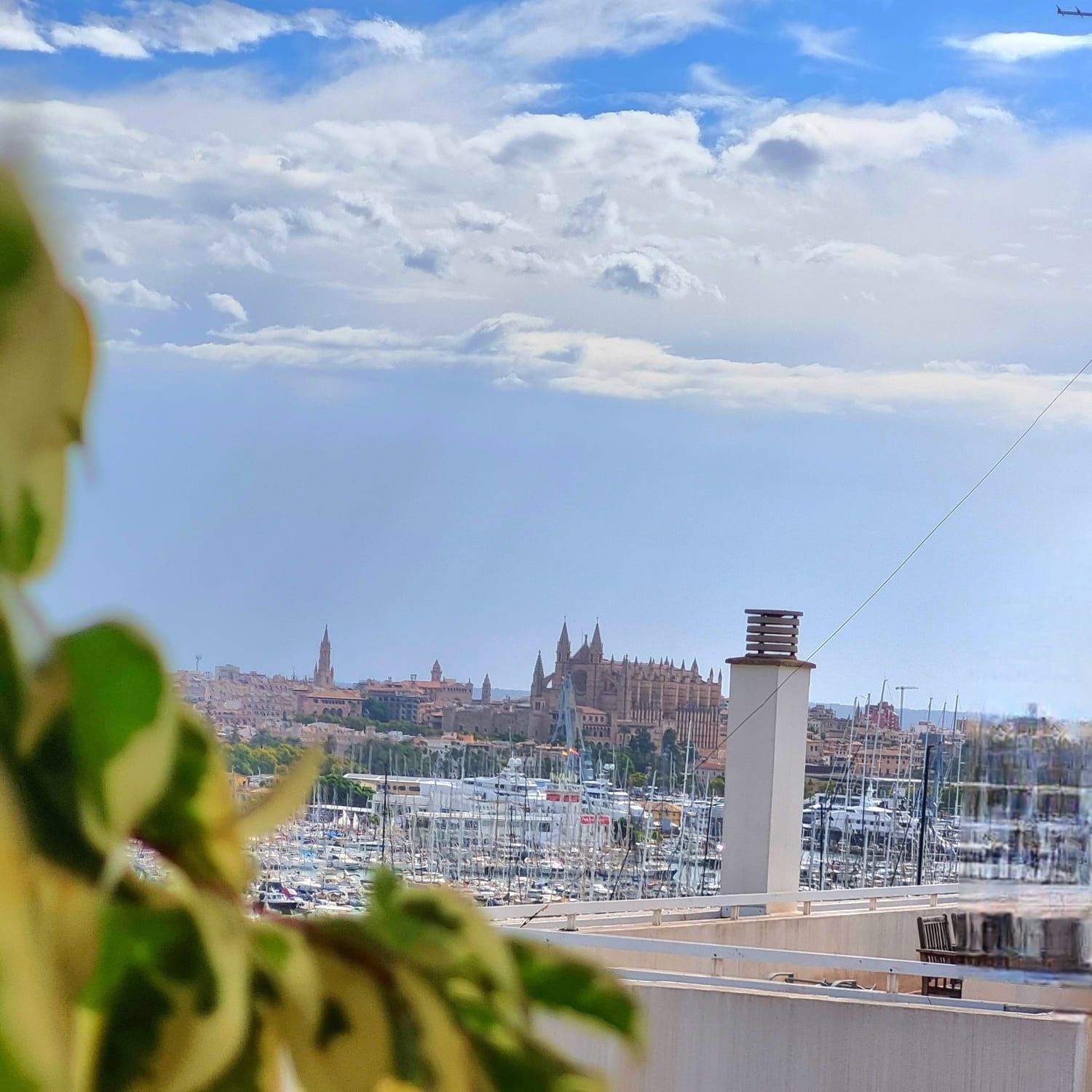 Ático en Calle Federico García Lorca, 14, Paseo Marítimo - Foto 11