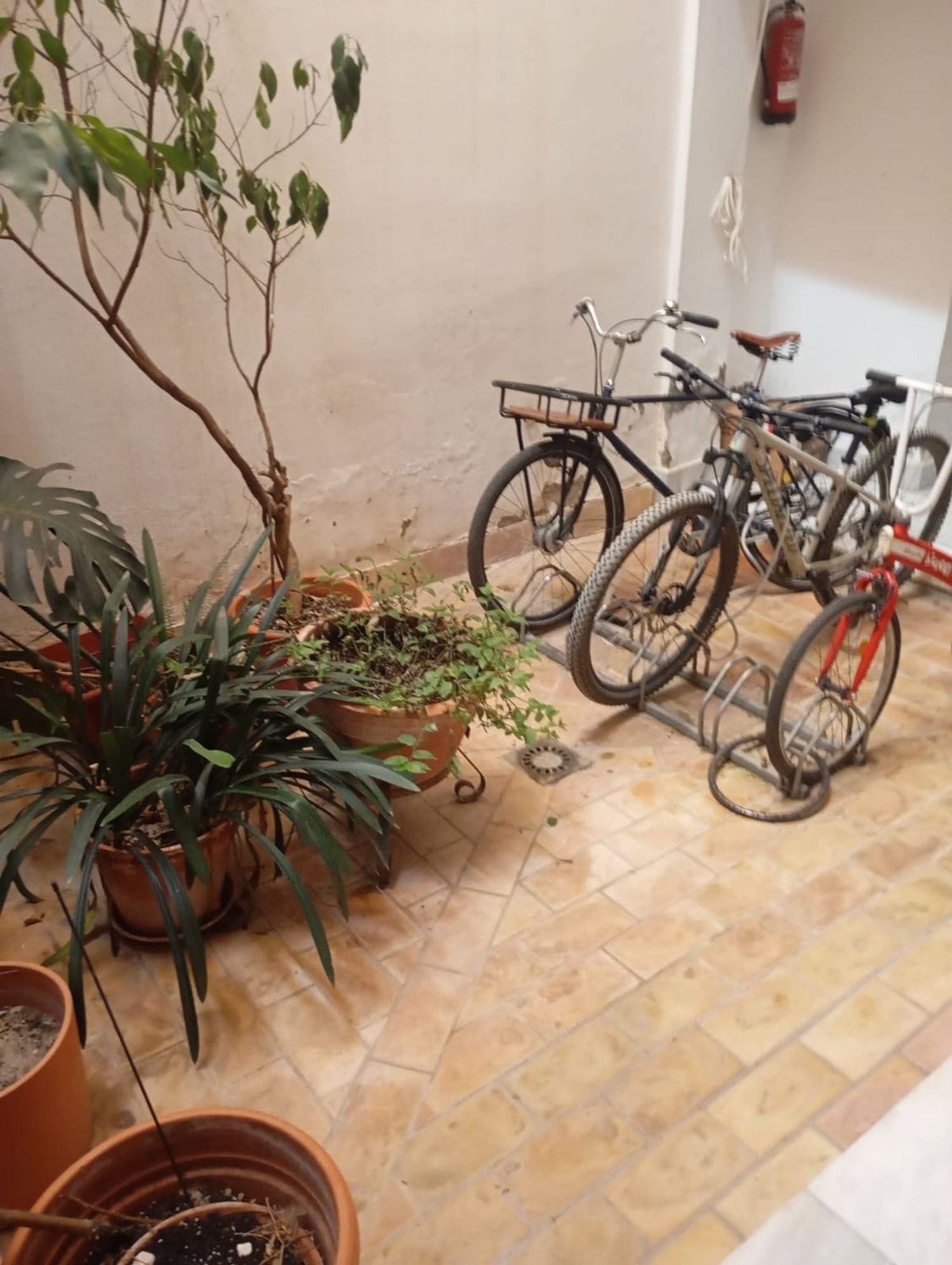 Piso en Divina Enfermera, 14, Alameda - Foto 14