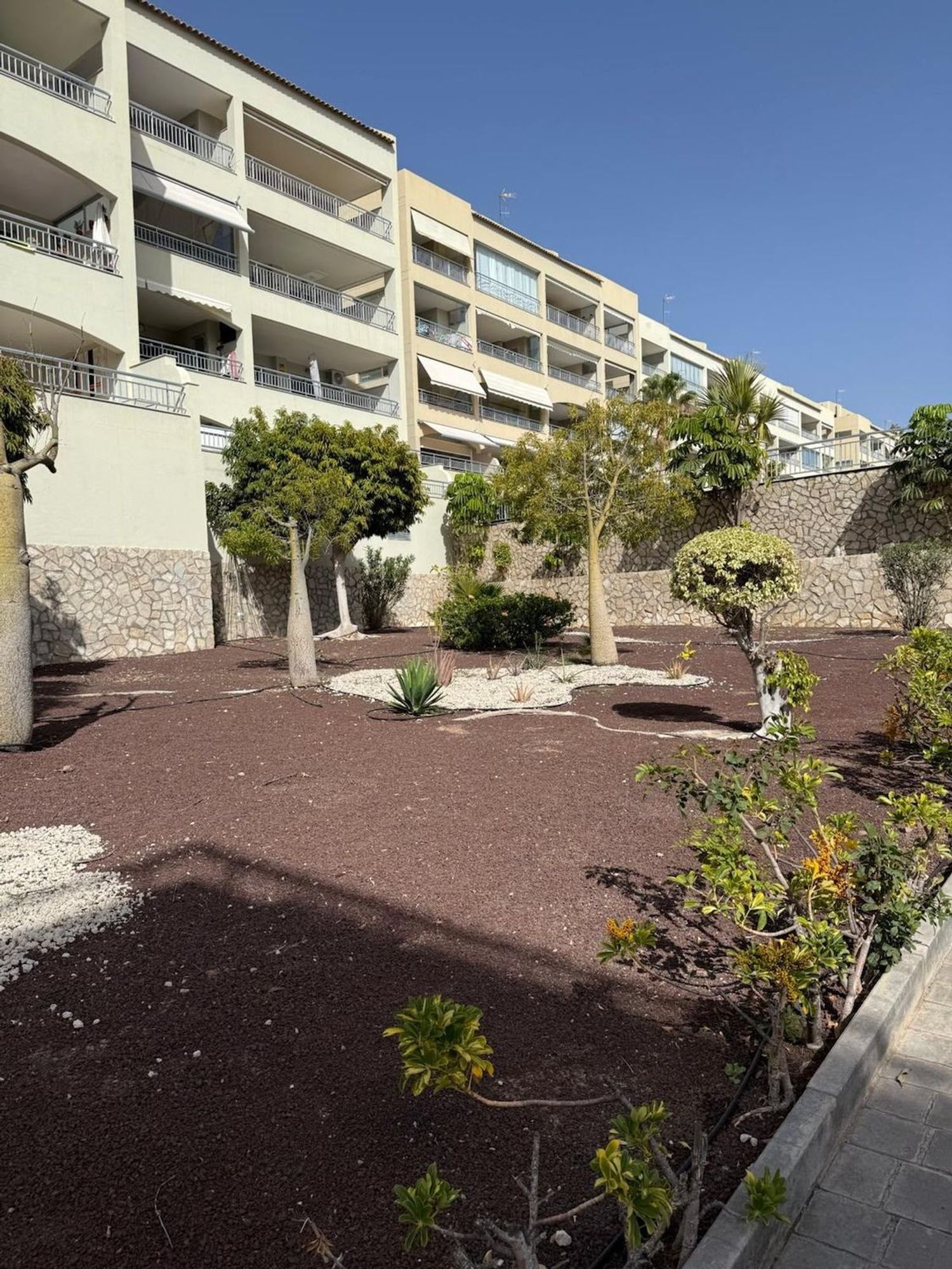 Piso en Avenida de El Palm-Mar, 42, Palm Mar, Palm Mar - Foto 12