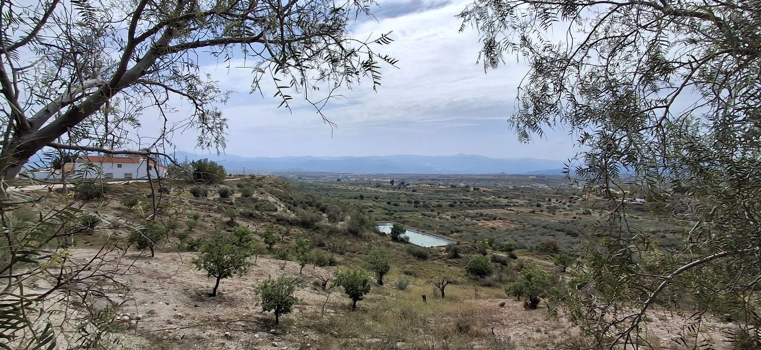Cortijo en Los Patricios s/n - Foto 7