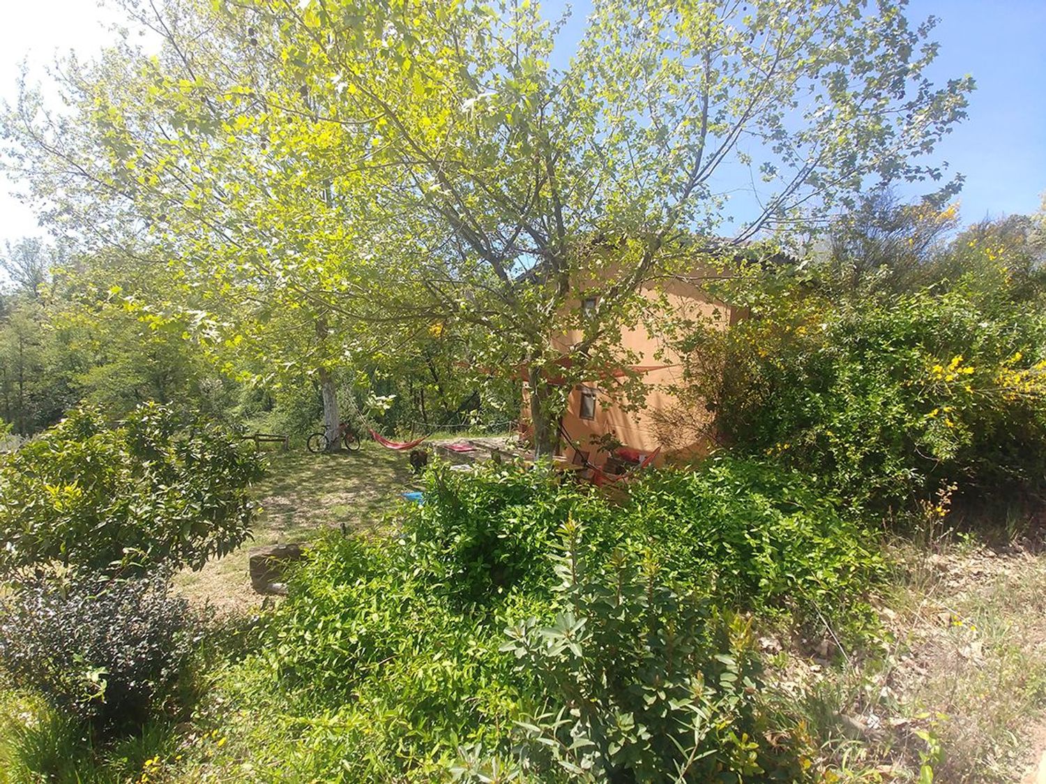 Finca rústica en Pasaje de Jamarín s/n - Foto 32