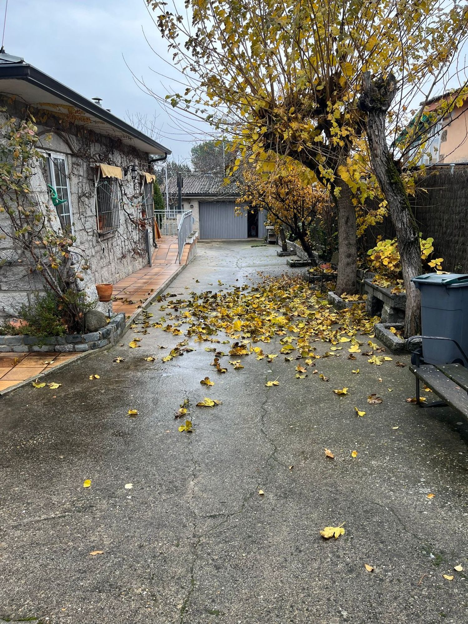 Casa independiente en Barrio Las Matas- Peñascales - Foto 5