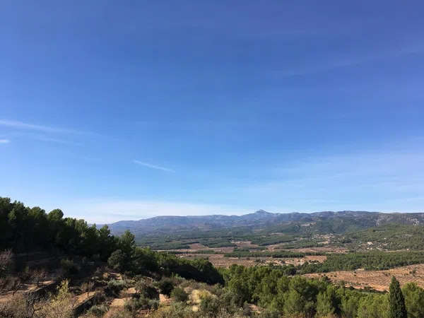 Masía en Masia Coll de la Mancha s/n - Foto 4