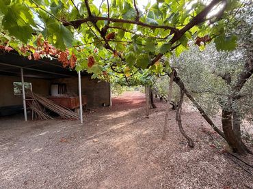 Finca rústica en  Camí de Sant Joan 1 - Foto 8
