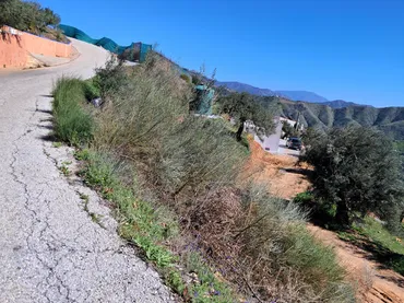 Finca rústica en  Diseminado el Cerval Pol 15 34B - Foto 20