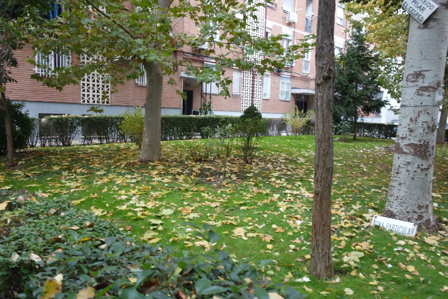 Piso en Barrio Lucero - Foto 29