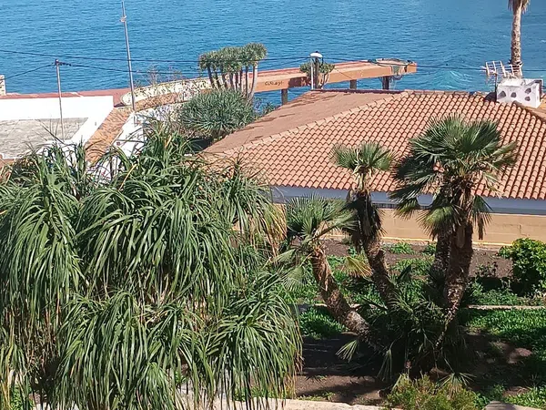 Casa o chalet independiente en Bajamar-Punta del Hidalgo, Bajamar-Punta del Hidalgo - Foto 18