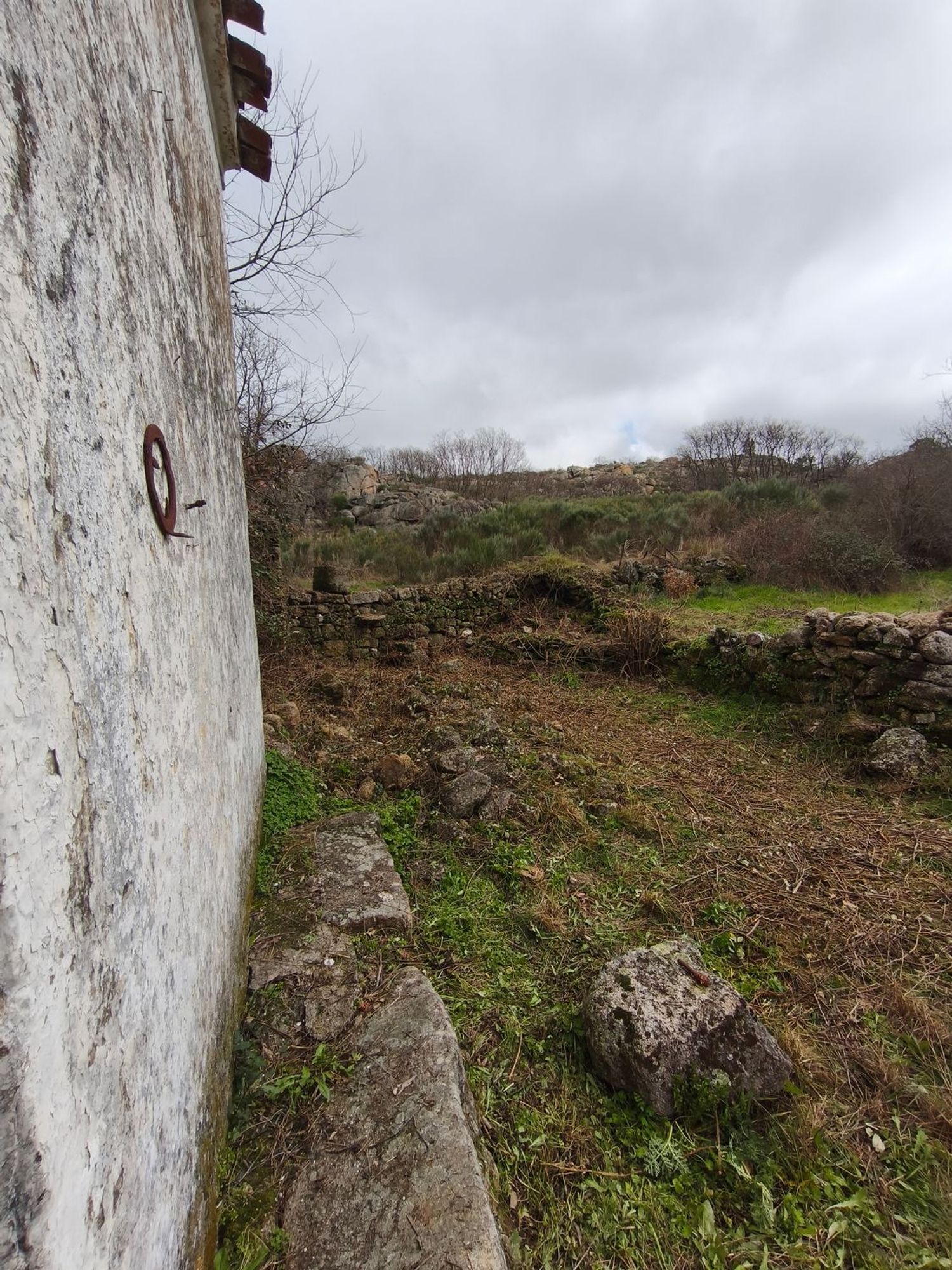 Finca rústica en Poblado los Arroyos de Abajo, 39 poligonoparcela - Foto 20