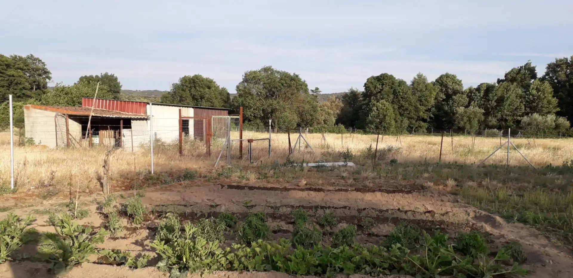 Finca rústica en  Avenida Gabriel y Galán 2 - Foto 8