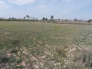 Terreno Urbanizable en  Camino de Ventarich - Foto 4