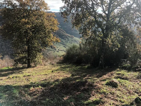 Casa rural en San Pedro de Líncora s/n - Foto 6
