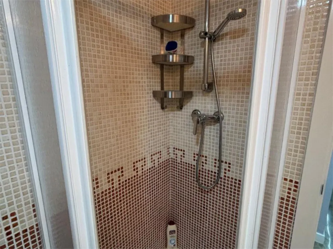 Piso en  Carrer Científico Jaime Santana 7 - Foto 24