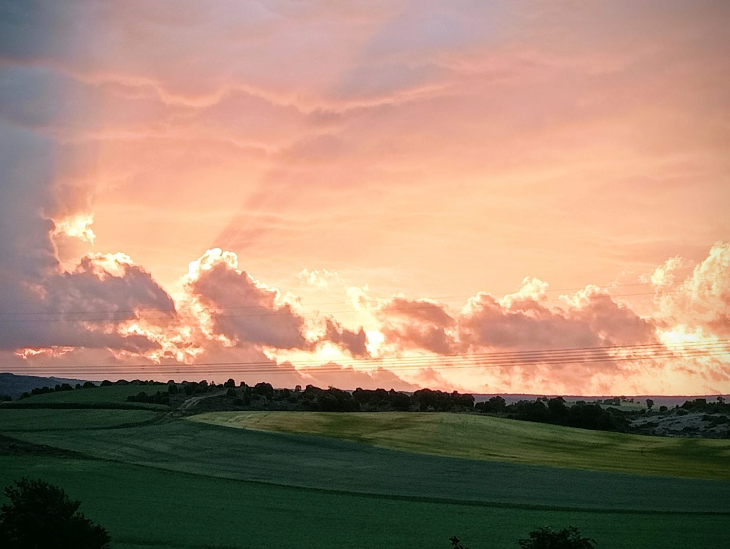 Casa independiente en calle Mendoza Entitatea, 39 - Foto 30