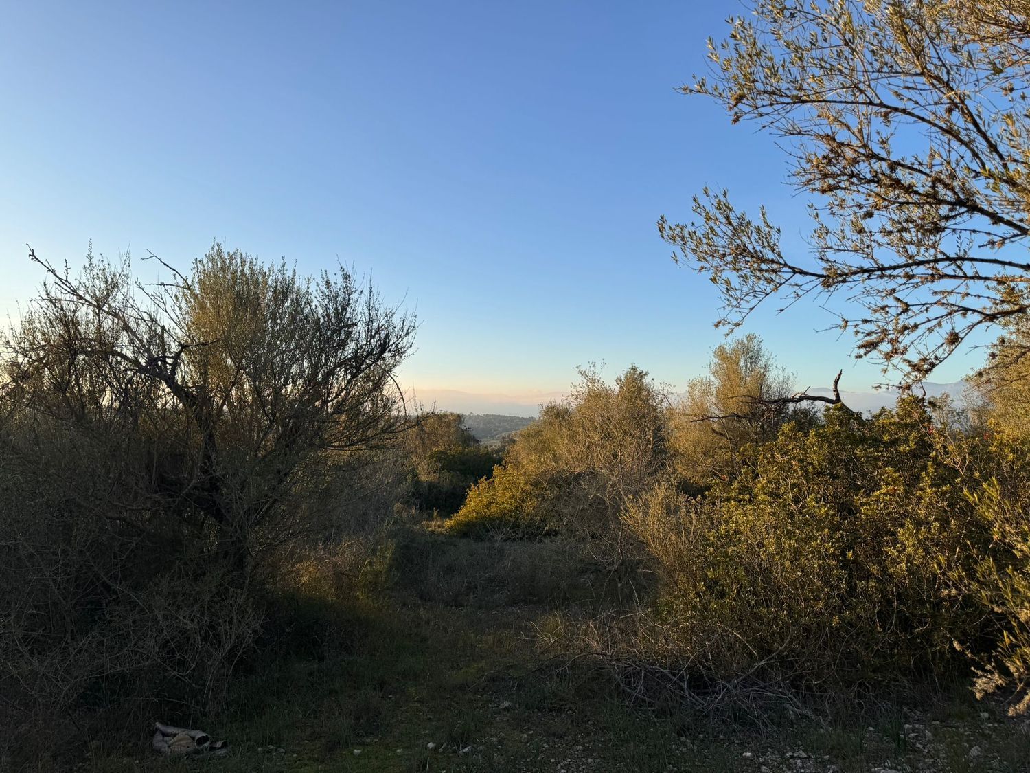 Finca rústica en Camino CamÍ de Son Bernat s/n - Foto 9