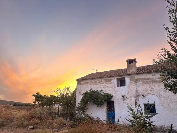 Finca rústica en Camino de Setenil a Alcalá del Valle s/n - Foto 10