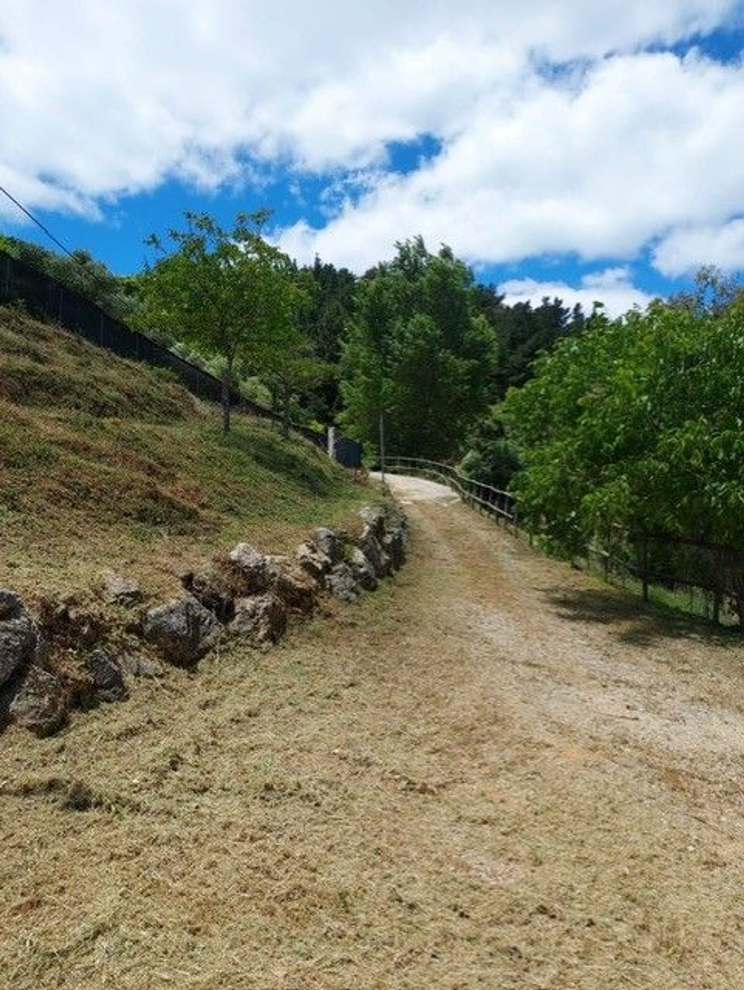 Casa rural en Calle Camino del Montoro, 36 - Foto 5