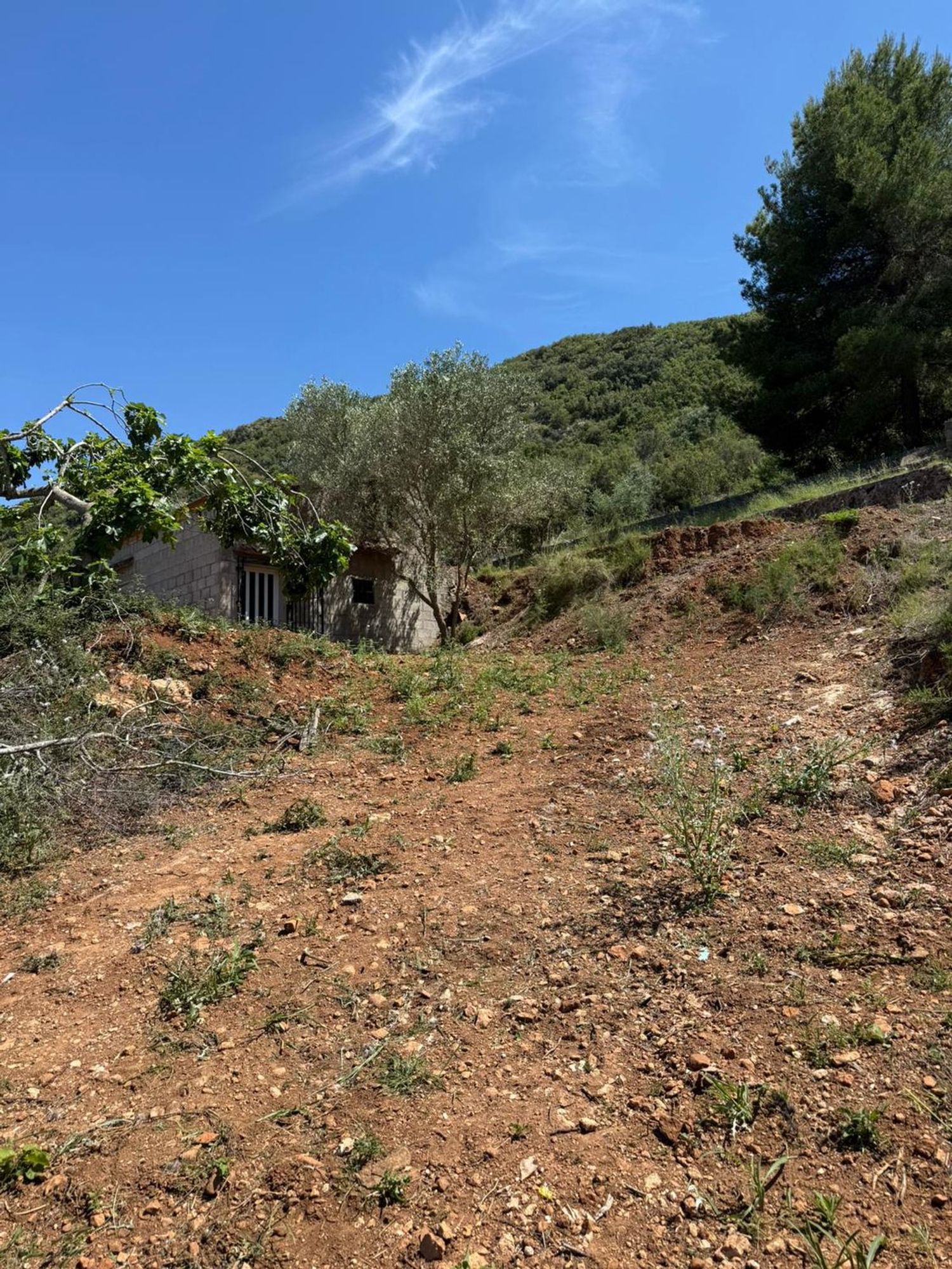 Casa terrera en Camino les Sortanelles, 24 - Foto 2