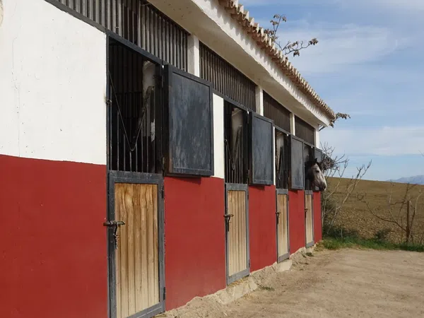 Finca rústica en Via Villanueva de la Concepción s/n - Foto 15