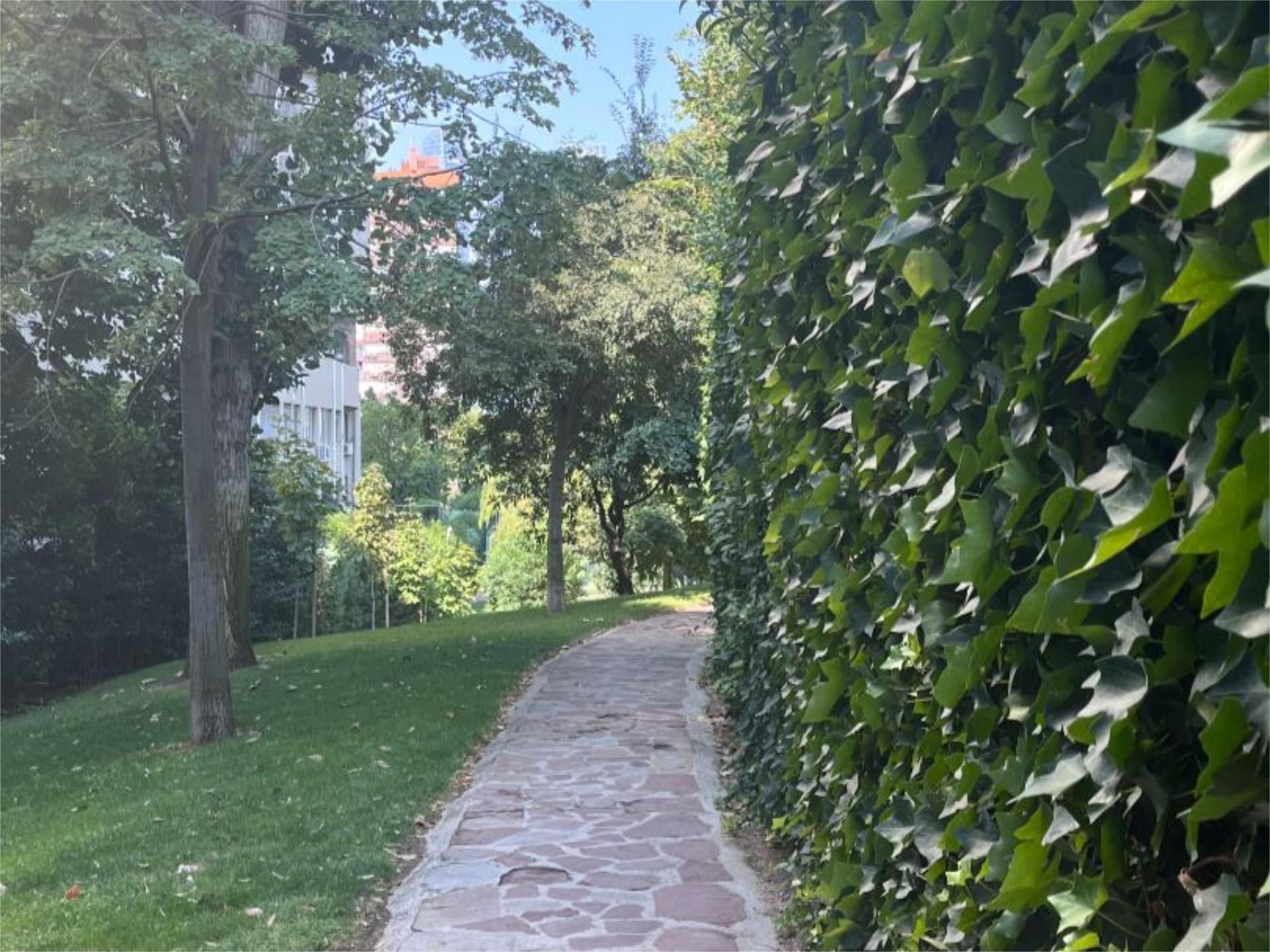 Piso en  Avenida de San Luis 93 - Foto 9