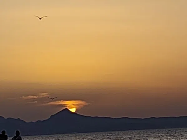 Piso en Camino Assagador del Palmar, 29, El Palmar-Los Molinos - Foto 14