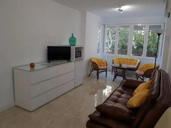 Estudio en calle Pintor Francisco Pradilla, 4