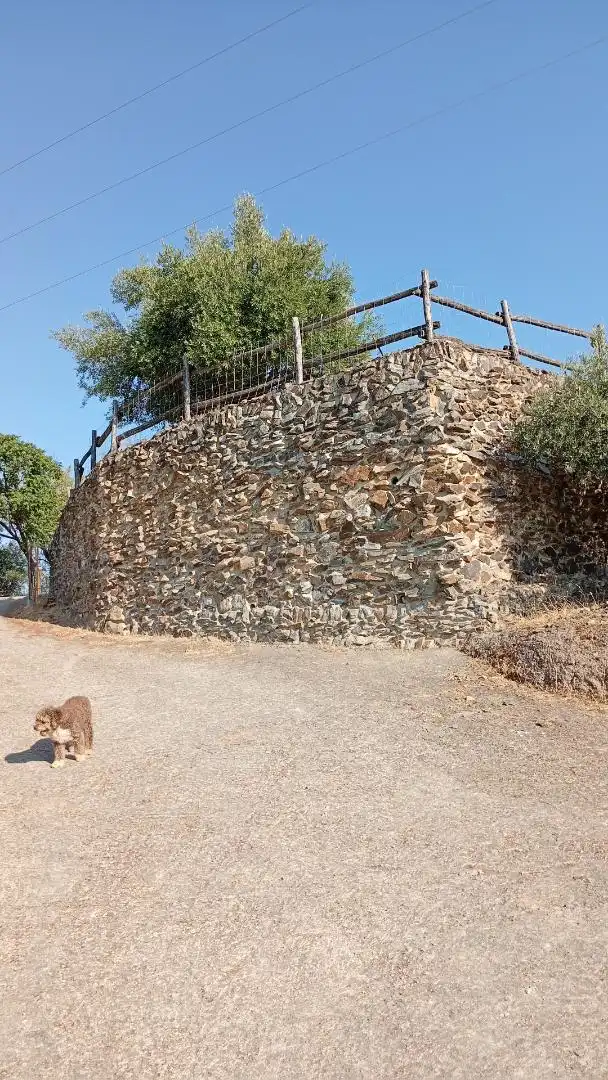 Finca rústica en  Calle de Antonio Machado 29 - Foto 13